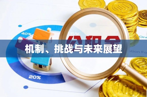 大石桥机制、挑战与未来展望